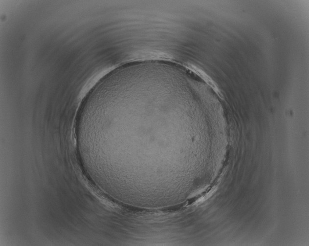 X0000073410885200608251522