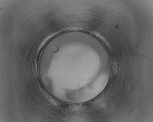 X0000073410886200608251522