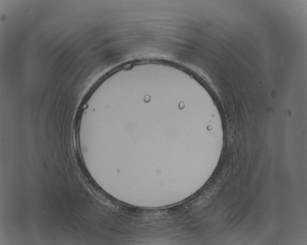 X0000073410887200608251522