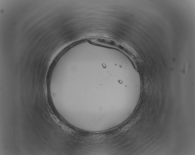 X0000073410888200608251522