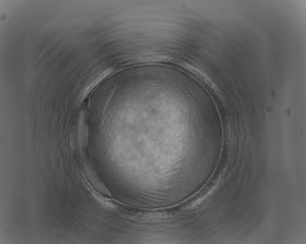 X0000073410889200608251522