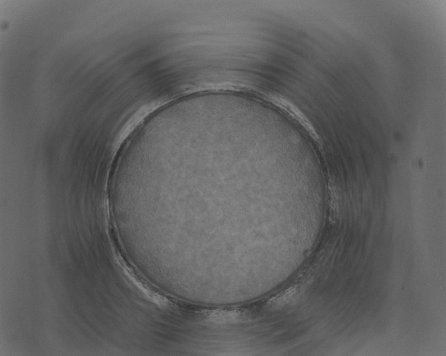 X0000073410890200608251522