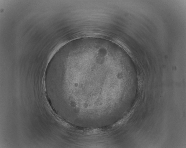 X0000073410891200608251522