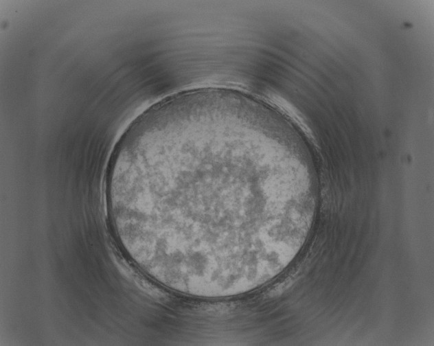 X0000073410892200608251522