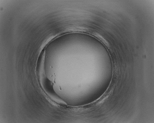 X0000073410893200608251522