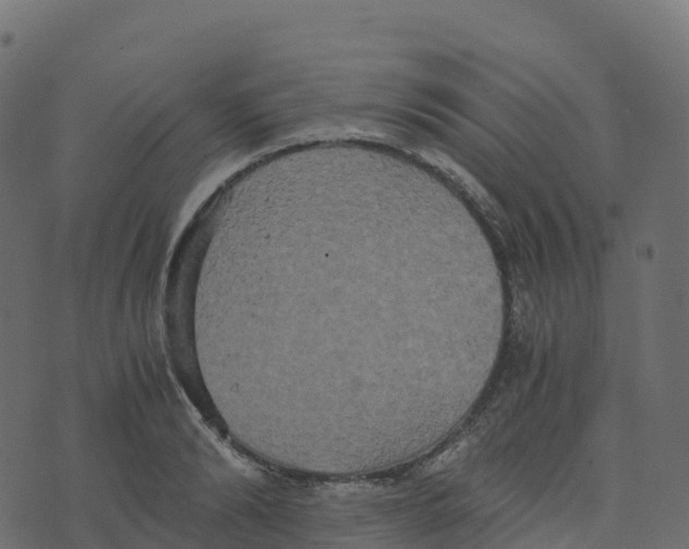 X0000073410894200608251522