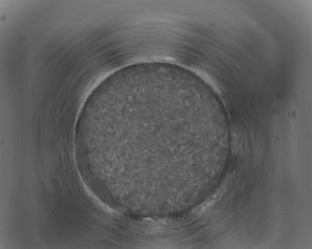 X0000073410895200608251522