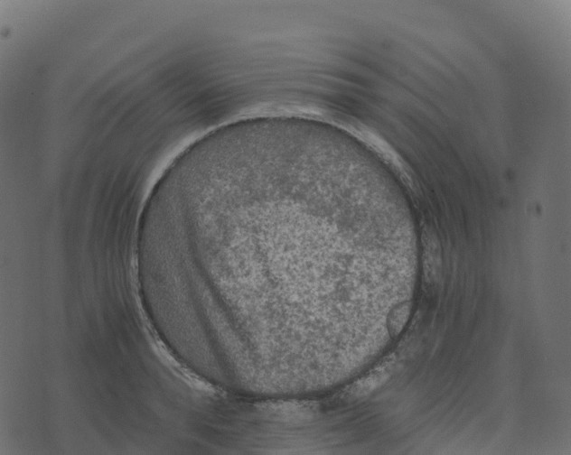 X0000073410896200608251522