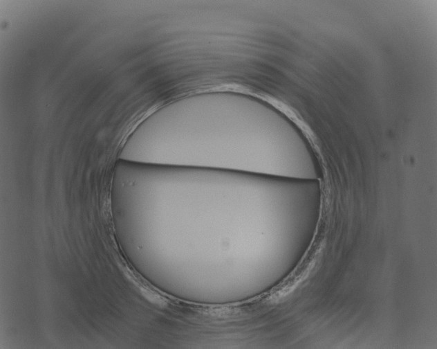 X0000073410897200608251522