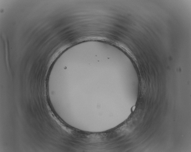 X0000073410898200608251522