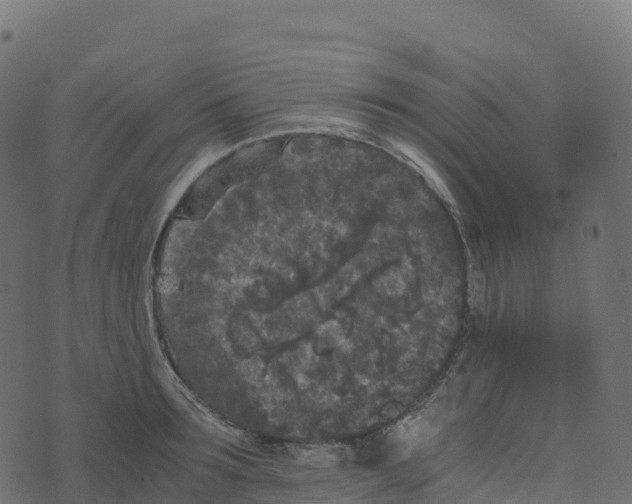 X0000073410899200608251522