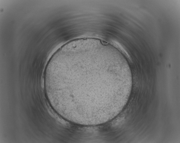 X0000073410900200608251522