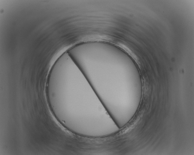 X0000073410901200608251522