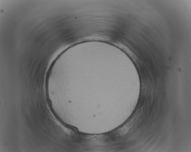 X0000073410902200608251522