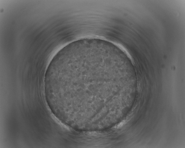 X0000073410903200608251522