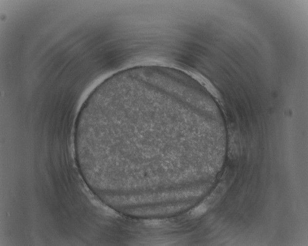 X0000073410904200608251522