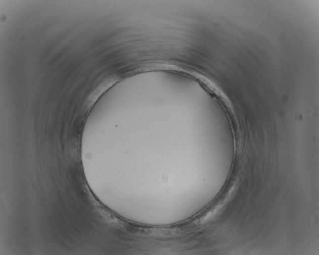 X0000073410905200608251522