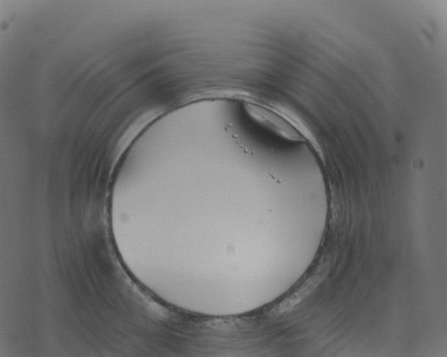 X0000073410906200608251522