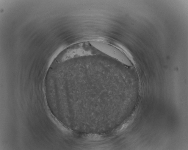 X0000073410907200608251522