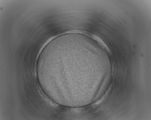 X0000073410908200608251522