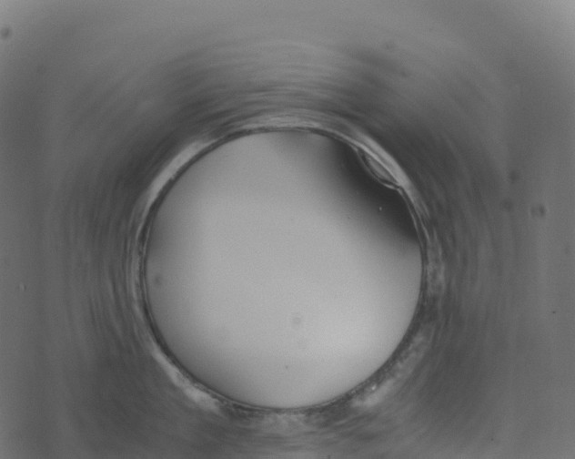 X0000073410909200608251522