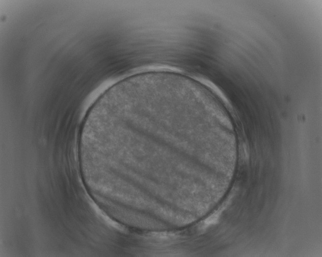 X0000073410910200608251522