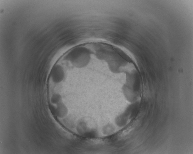 X0000073410911200608251522