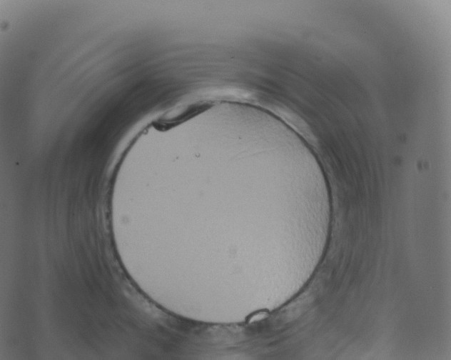 X0000073410912200608251521