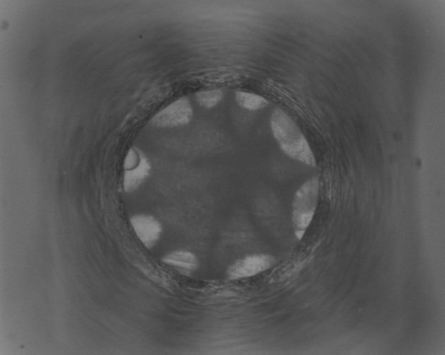 X0000073410913200608251521