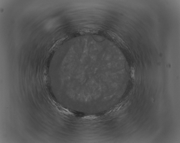 X0000073410915200608251521