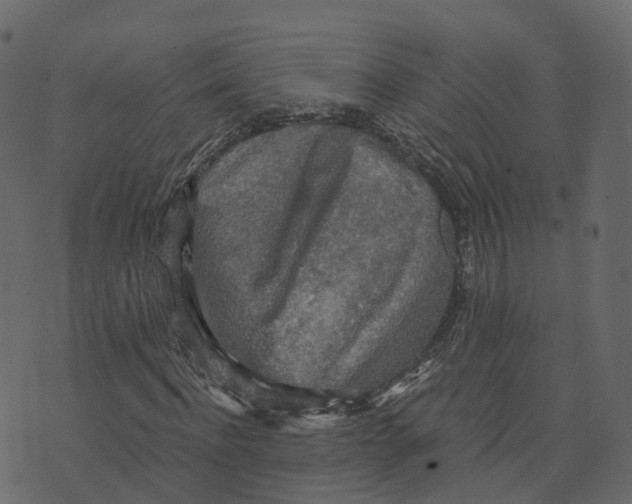 X0000073410916200608251521