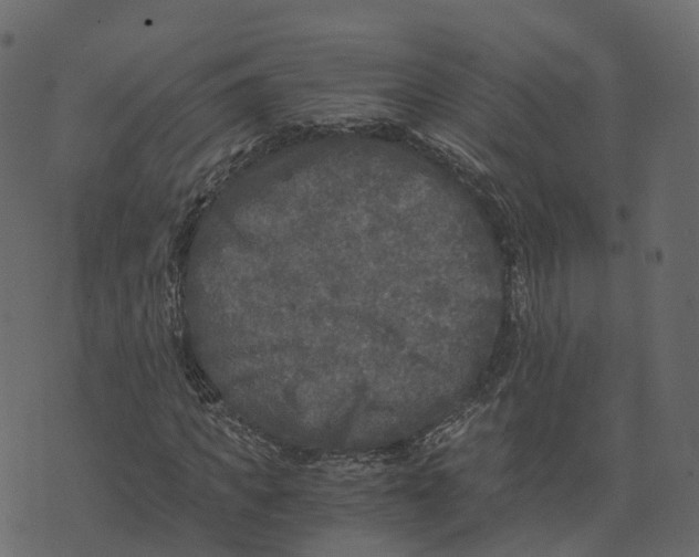 X0000073410917200608251521