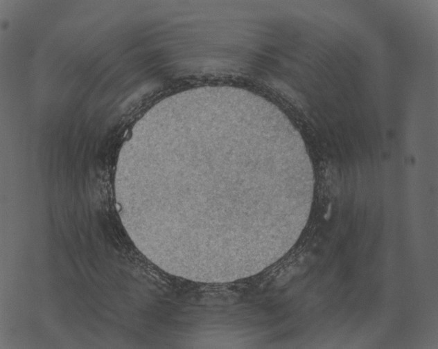 X0000073410918200608251521