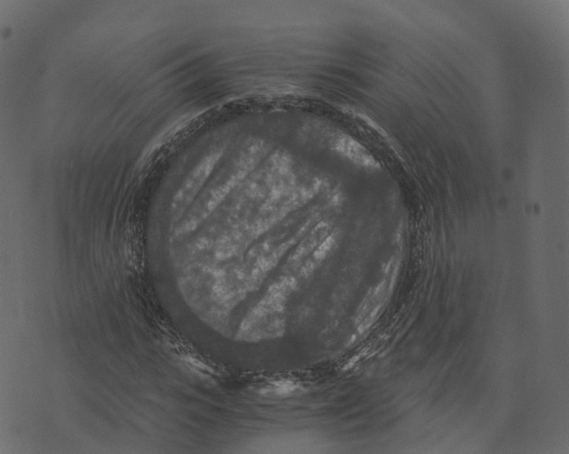 X0000073410919200608251521