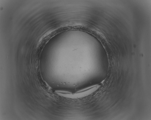 X0000073410920200608251521