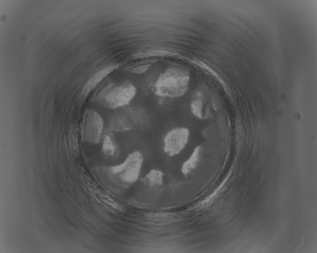 X0000073410921200608251521