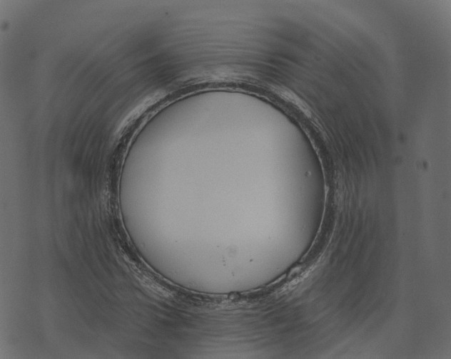 X0000073410922200608251521