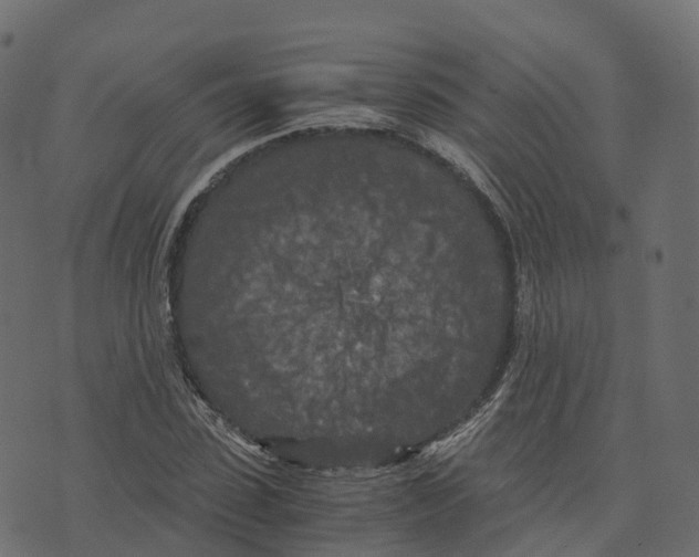 X0000073410923200608251521