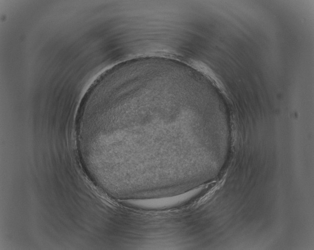 X0000073410924200608251521