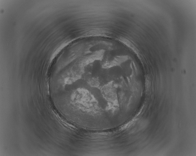 X0000073410925200608251521