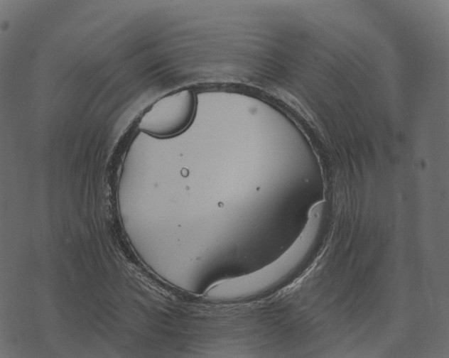 X0000073410926200608251521