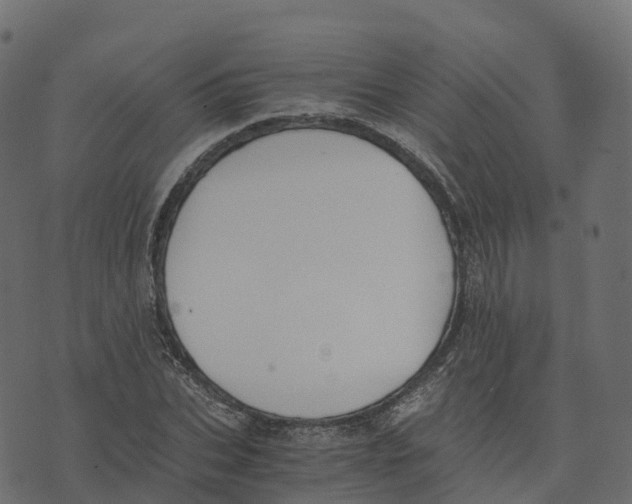 X0000073410927200608251521