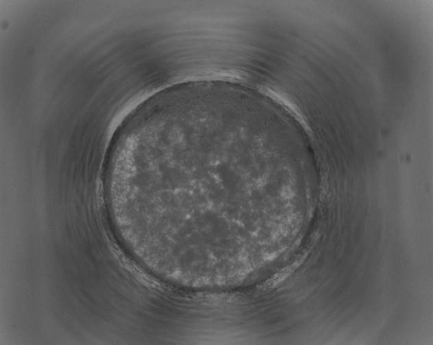 X0000073410928200608251521