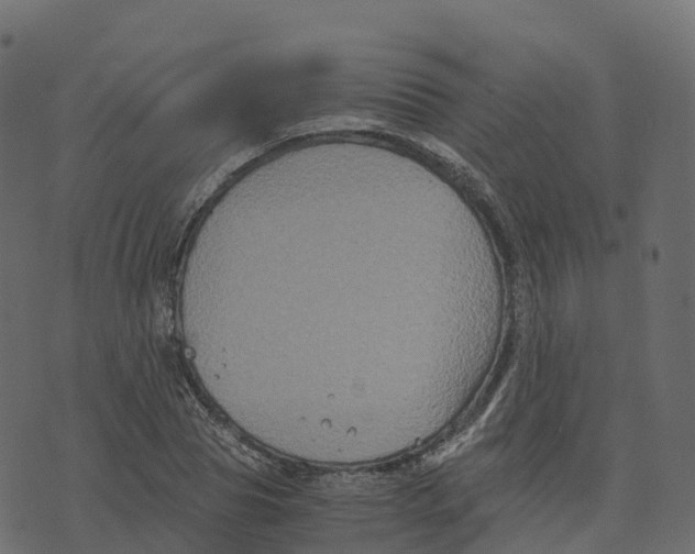 X0000073410929200608251521