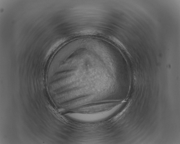 X0000073410930200608251521