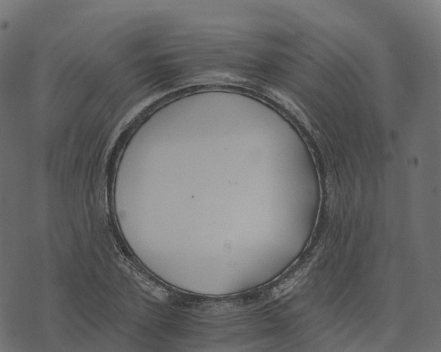 X0000073410931200608251521