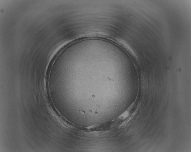 X0000073410932200608251521