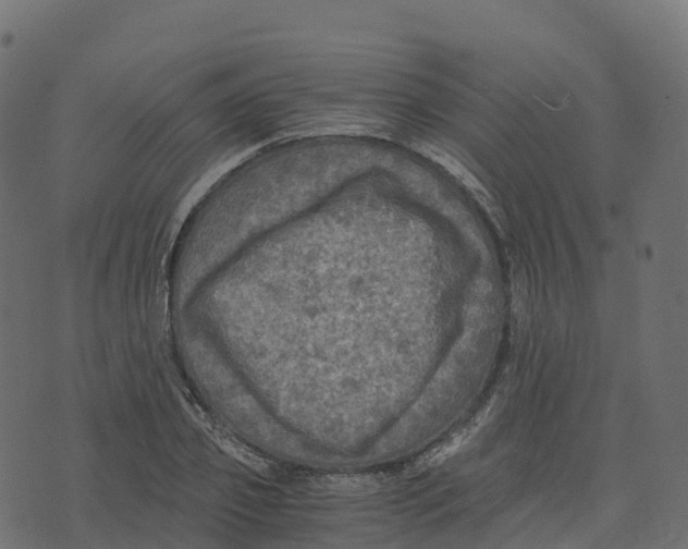 X0000073410933200608251521