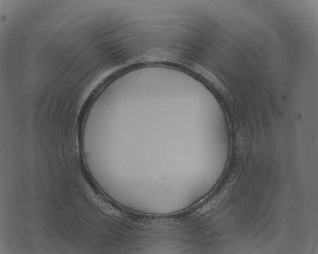 X0000073410934200608251521