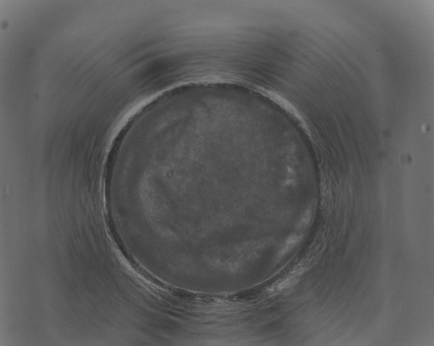 X0000073410935200608251521